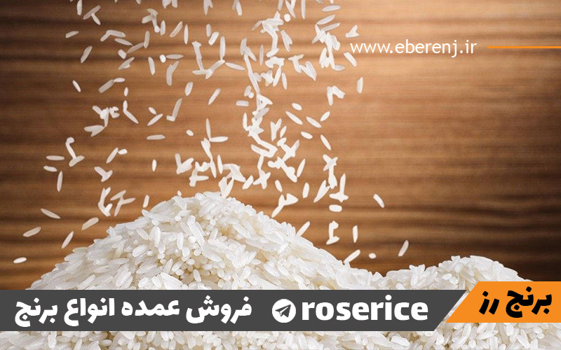 تامین کننده برنج ایرانی