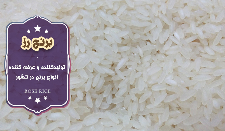 قیمت عمده برنج خوشپخت ندا